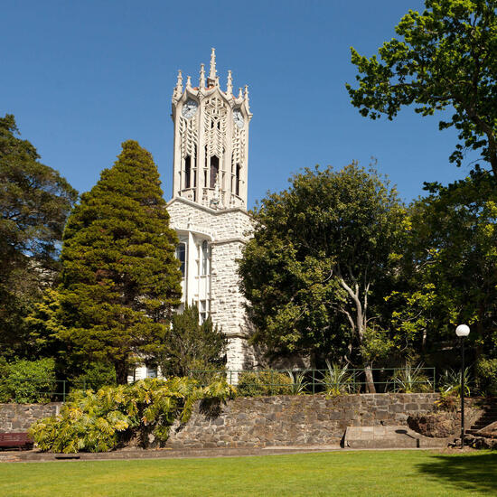 Davids Erfahrungsbericht zum Auslandssemester an der University of Auckland