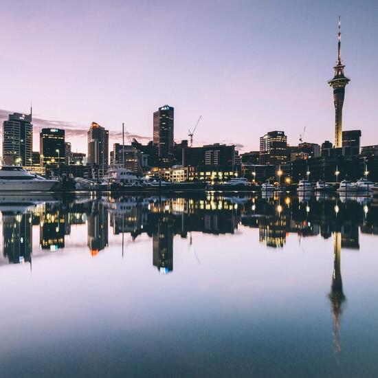 Daniels Erfahrungsbericht zum Auslandssemester an der University of Auckland