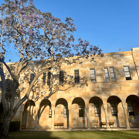 Anjas Erfahrungsbericht zum Auslandssemester an der University of Queensland